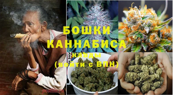 прущие крисы Магас