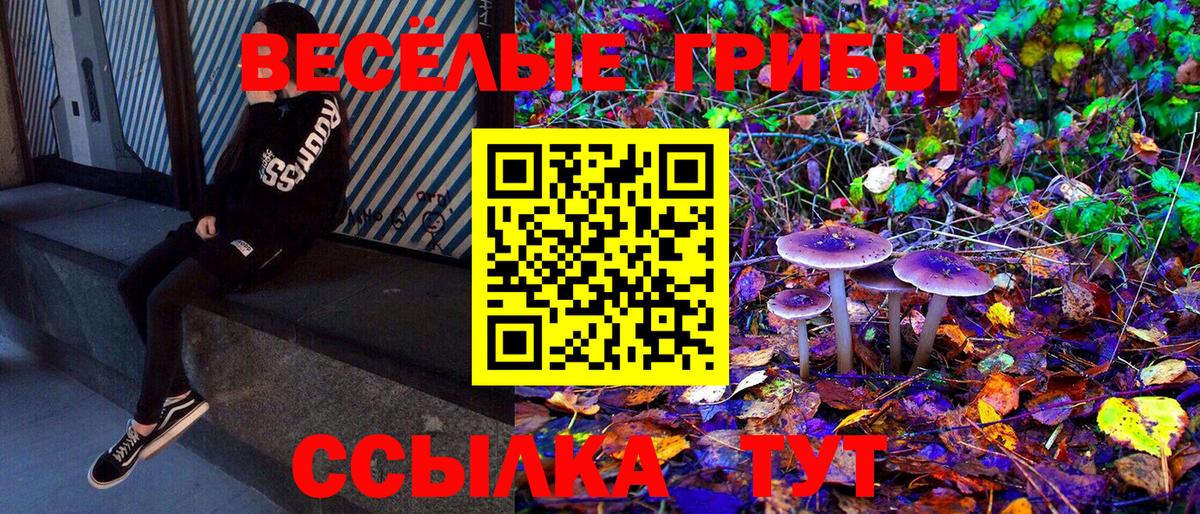 Галлюциногенные грибы GOLDEN TEACHER  Псилоцибиновые грибы Psilocybine cubensis  Вход с VPN  Моздок 